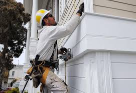 Best Wood Siding Installation  in Winnebago, IL